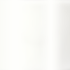 641 White